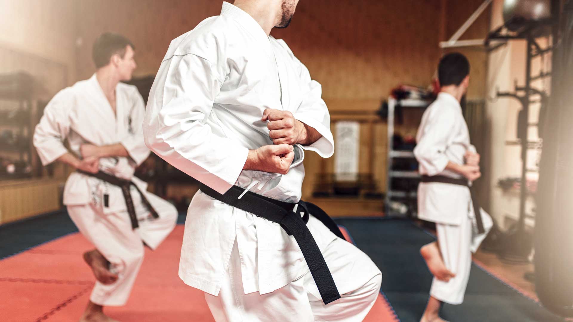 Corso Allenatore di Karate Monza